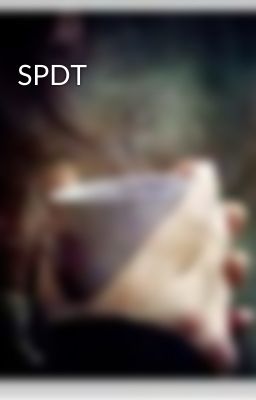 SPDT