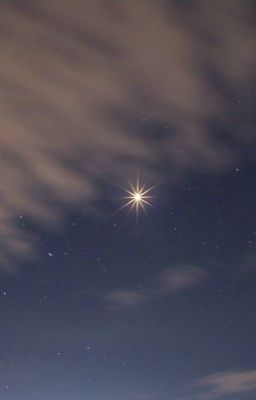 starlight 