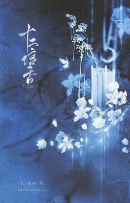 stneko; - tào khang 