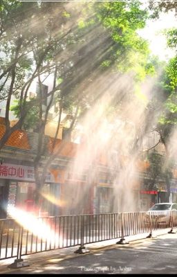 Sự dịu dàng của mùa hạ 