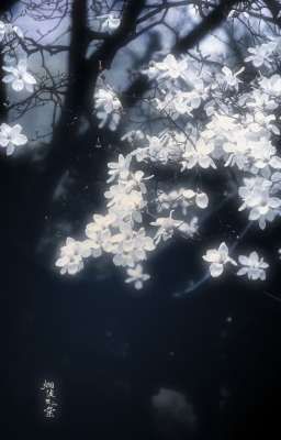 ☆°•Sứa nhỏ cũng muốn tự do•°☆