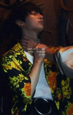 sunsun | what are we