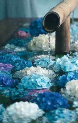 [SuoSaku]Mộng mị