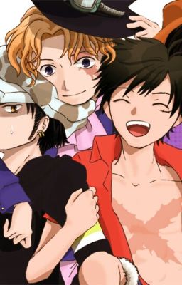 Switched! One Piece x Reader