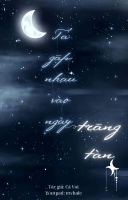TA GẶP NHAU VÀO NGÀY TRĂNG TÀN 