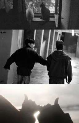 | taegyu | When Two Souls Meet 