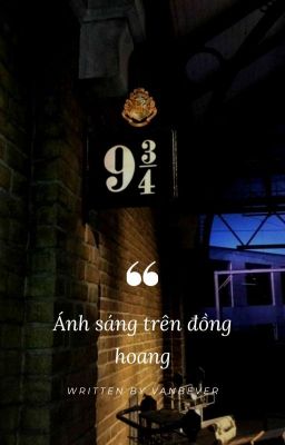 taekook | ánh sáng trên đồng hoang