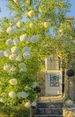 Taekook / Chiếm hữu