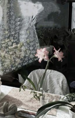 ₊˚⊹♡ taekook˚˖𓍢ִ໋❀