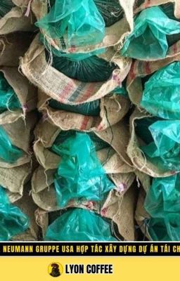 Tái chế túi cà phê