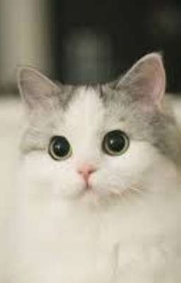 tái sinh trả thù cô bạn thân