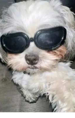 tâm sự tuổi nung lồn