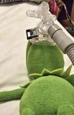 tbtn | nhìn mình kẻ draft không bạn