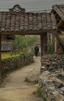 tết tóc