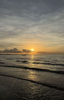 Texfix | GeminiFourth | YOUTHLINE