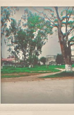 [Text LCK] Mối Tình Đầu