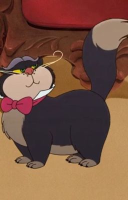 textfic chokiin; khối b00