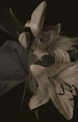 Textfic | Địa Phủ Có Wifi Không Thế ? 