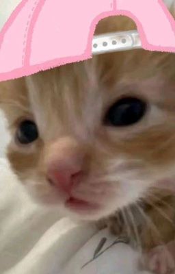 textfic; hôm nay hjgfk đã nghĩ tới nhau chưa?