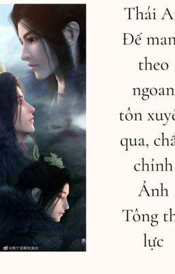Thái An Đế mang theo ngoan tôn xuyên qua, chấn chỉnh Ảnh Tông  thế lực