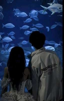 Thanh Mai Trúc Mã Của Tôi, Thích Chị Gái Tôi?! 