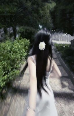 Thanh Xuân Của Tôi 