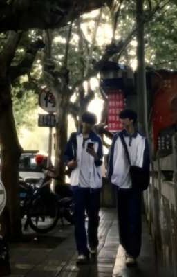 Thanh xuân của tôi chỉ dành riêng cho cậu