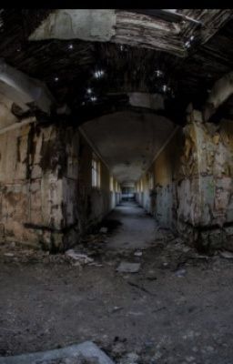 The asylum