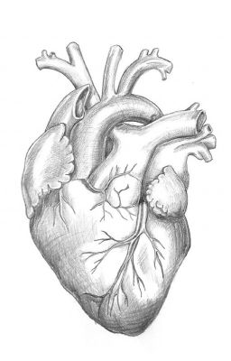 The Bloody Myocardium