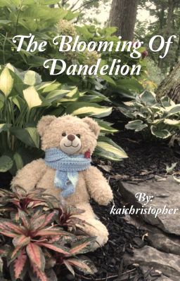 The Blooming of Dandelion