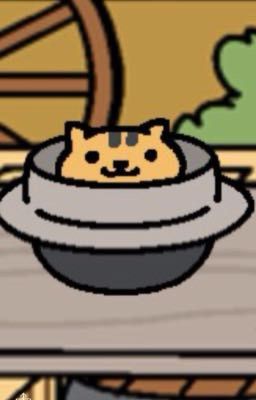 The Elusive Feline