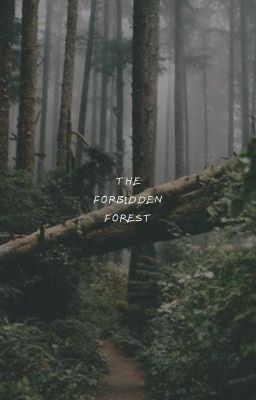 THE FORBIDDEN FOREST.   (CONFESSIONS)