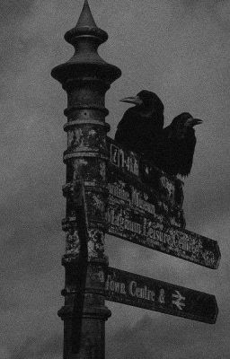 [The Freak Circus] Tham Lam