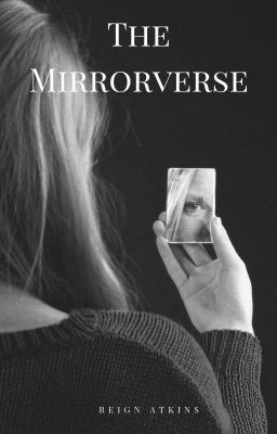 The mirrorverse