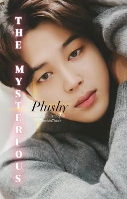 The Mysterious Plushy || Park Jimin