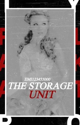 The Storage Unit