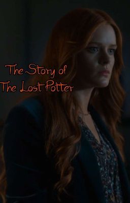 The Story of The Lost Potter