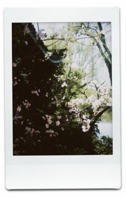 the summer of misaligned rhythms