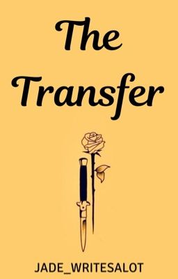 The Transfer ✔️