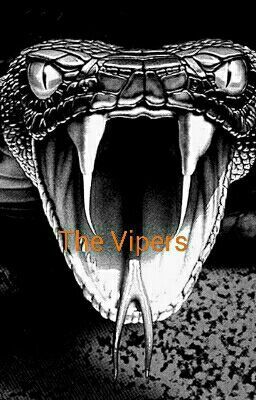 The Vipers: Daughters Of Anarchy 