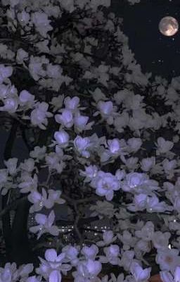 Themoonflowerflyingtothesun
