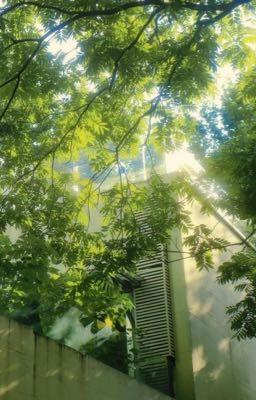Thích cậu là điều tôi giấu kín