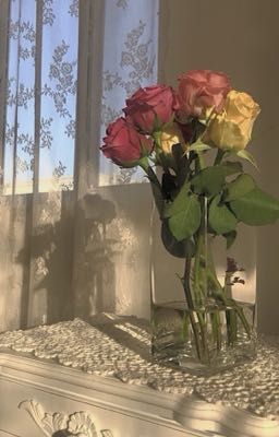 Thiên vị mỗi em thôi!