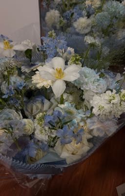 Thiếu Chủ Miêu Cương