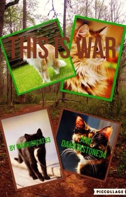 This is War