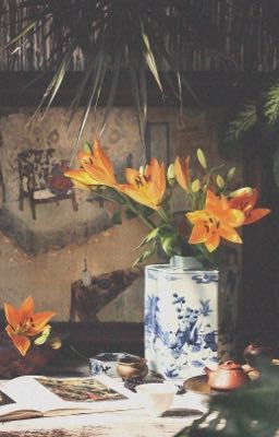 Thương |DuongHieu|