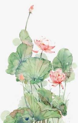 thương nhớ 