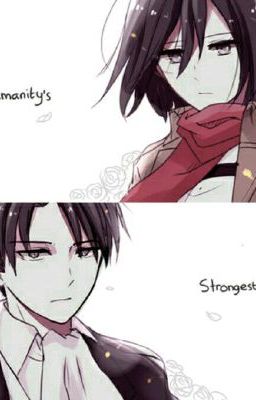 tia nắng cuối ngày đông (rivamika)