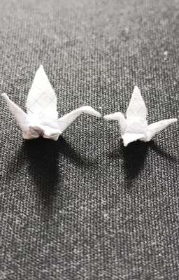 Tiếc rằng đã trễ