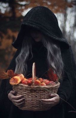 Till the night falls